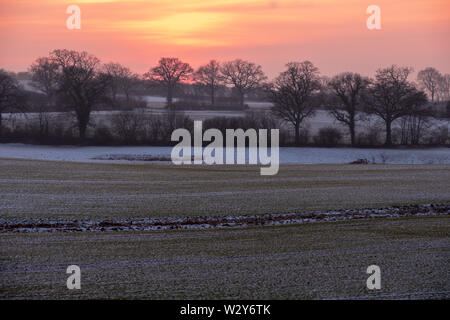 Scenic Winter-Landscape avec champs de neige et une ligne d'arbres chauve sous de soleil colorés, Schleswig-Holstein Banque D'Images