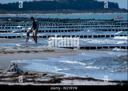 Rostock, Allemagne. 11 juillet, 2019. Les vacanciers à pied en face de l'ensemble nouvellement rangées de épis sur la plage de l'île baltique de Hiddensee. Sur la côte du village de Rostock, un nouveau système a été construit pour l'épi, près de cinq millions d'euros afin de protéger efficacement les villages d'une grave maladie des ondes de tempête avec un niveau d'inondation jusqu'à 2,60 mètres. Credit : Jens Büttner/dpa-Zentralbild/dpa/Alamy Live News Banque D'Images