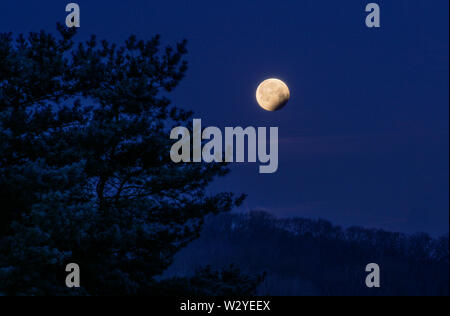 Eclipse lunaire, 2019-01-21, 7,43 m, parc naturel, Staufenberg Munden, Münden, Basse-Saxe, Allemagne Banque D'Images