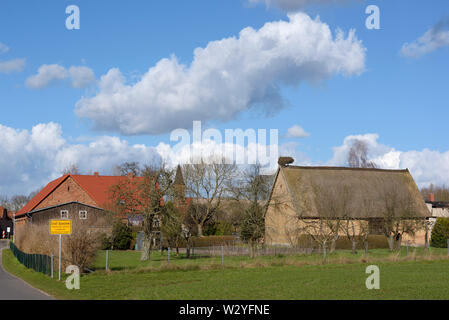 Nid de Storck, blanc brut, avril Quassow, Mecklenburg-Vorpommern, Allemagne, (Ciconia ciconia) Banque D'Images