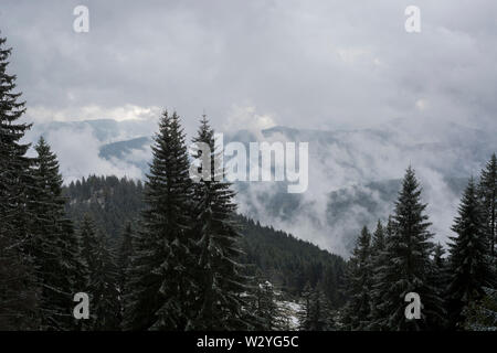 Début de l'hiver, région brauneck, brauneck, lenggries, benediktenwand, isarwinkel, région de la Haute-Bavière, Alpes bavaroises, la Bavière, la vallée de l'Isar, Allemagne Banque D'Images