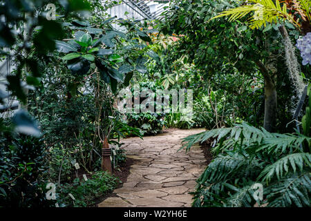 Pour les plantes qui aiment la chaleur avec différents arbres et fleurs. Jardin d'été. Banque D'Images