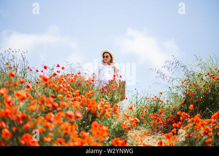 Sentiment de liberté, de naturel, essence, pureté. Ciel d'été dans les champs de pavot. Banque D'Images