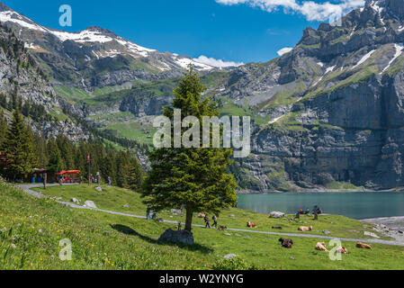 Paysage à l'Oeschinensee lake, Kandersteg, Oberland Bernois, Canton de Berne, Suisse, Europe Banque D'Images