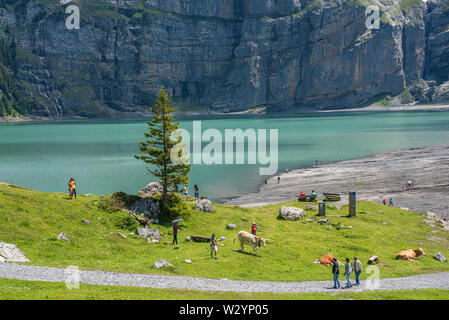 Paysage à l'Oeschinensee lake, Kandersteg, Oberland Bernois, Canton de Berne, Suisse, Europe Banque D'Images