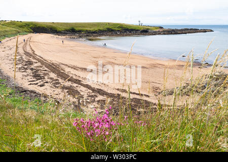 Ruby Bay (Elie Woodhaven), Elie, Fife, Scotland, UK Banque D'Images