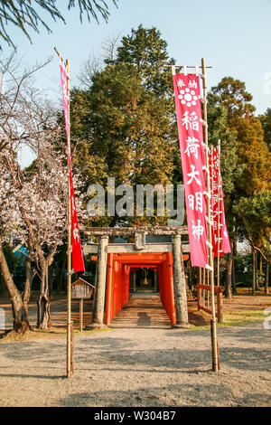 Temples japonais au moment de la fleur de cerisier - Hanami Banque D'Images