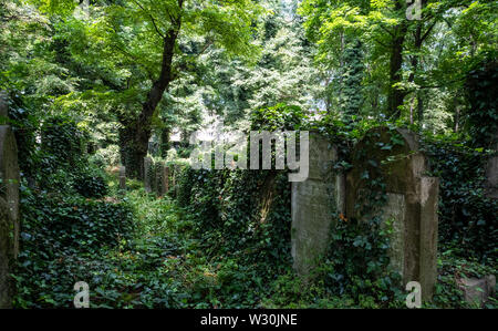 Vieilles pierres tombales négligées, parmi les sous-bois dans le Nouveau cimetière juif de Kazimierz, le quartier juif, à Cracovie, Pologne. Banque D'Images