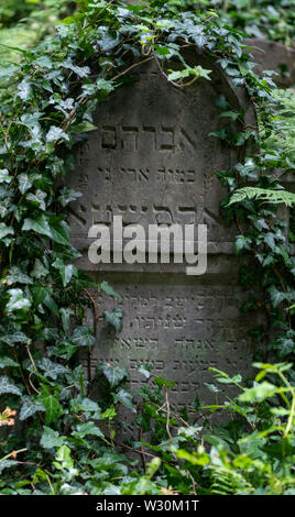 Vieilles pierres tombales négligées, parmi les sous-bois dans le Nouveau cimetière juif de Kazimierz, le quartier juif, à Cracovie, Pologne. Banque D'Images