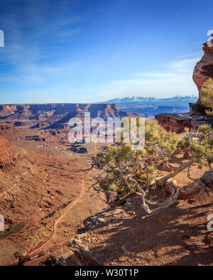 Regarder en arrière vers Moab, UT de Canyonlands National Park, États-Unis Banque D'Images