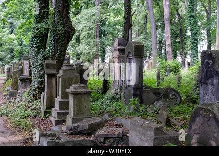 Vieilles pierres tombales négligées, parmi les sous-bois dans le Nouveau cimetière juif de Kazimierz, le quartier juif, à Cracovie, Pologne. Banque D'Images