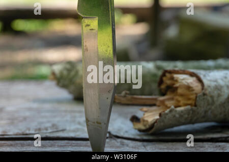 Couteau pliant coincé à la verticale par le point dans une vieille table de pique-nique en bois dans un camping dans une clairière herbeuse dans une forêt ou la forêt en arrière-plan Banque D'Images