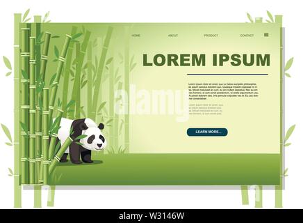 Les arbres des forêts de bambou d'Asie paysage avec mignon grand panda télévision vector illustration bannière horizontale page site web design. Illustration de Vecteur