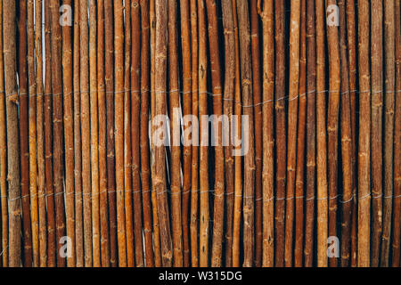 Arrière-plan de bâtonnets de bois. Close up image. Banque D'Images