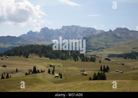 Le Naturpark Schlern Rosengarten vu de prés généralisée et les forêts de l'été Alpe di Siusi Ortisei Val Gardena Dolomites Italie Banque D'Images