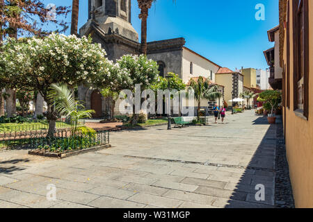 Puerto de la Cruz, Tenerife, Espagne - 10 juillet 2019 : Maisons colorées et de palmiers dans les rues. Se détendre et s'amuser sur une chaude journée d'été ensoleillée. Banque D'Images