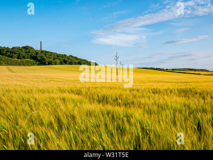 East Lothian, Ecosse, Royaume-Uni, 11 juillet 2019. Météo France : paysage agricole baigné de soleil du soir chaud. Un champ d'orge avec ciel bleu et fins Nuages de beau temps. Les Infirmières de l'Hopetoun monument sur Byres Hill avec la lune visible dans le ciel Banque D'Images