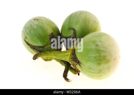 Petite asiatique green aubergine - prête pour la cuisson Banque D'Images