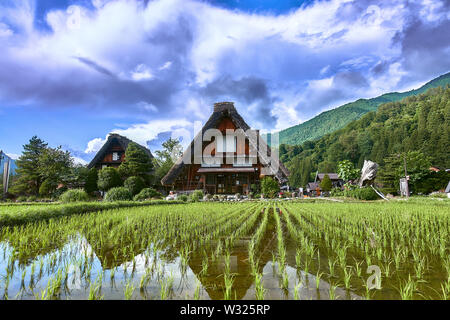 Toit de chaume traditionnel village Shirakawa farm house Gassho zukuri paysages du patrimoine mondial de l'architecture du paysage Japon voyage Gokayama Gifu Banque D'Images