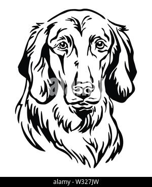 Contour décoratif portrait de chien d'arrêt à poil long, vector illustration en couleur noir isolé sur fond blanc. Pour l'image et design tattoo Illustration de Vecteur