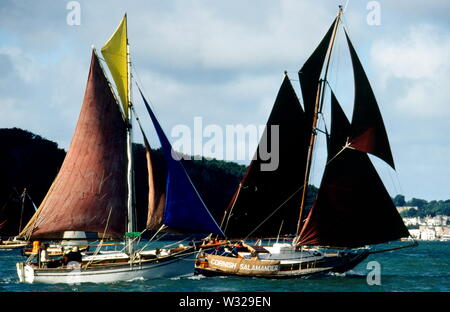 AJAXNETPHOTO. 1980. SOLENT, en Angleterre. - En cours - vieilles coques REGATTA DÉMARRE DANS OSBORNE BAY, CORNISH menant de la salamandre. PHOTO:JONATHAN EASTLAND/AJAX REF:842097 Banque D'Images