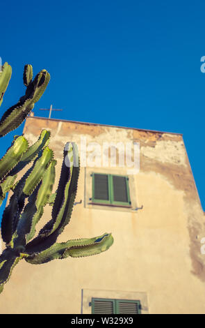 Une Grungy style mexicain ou espagnol traditionnel accueil sur une journée ensoleillée avec un Cactus dans l'avant-plan Banque D'Images