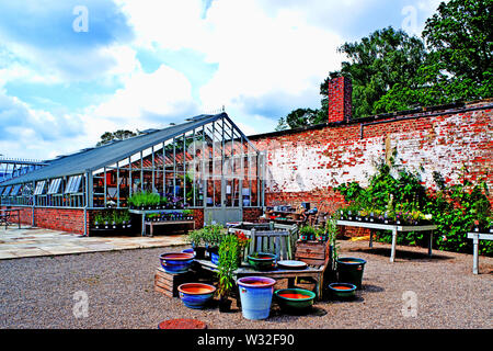 Le Glasshouse, jardins de Wynyard Wynyard, Hall, Stockton on Tees, Cleveland, Angleterre Banque D'Images