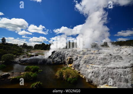 La zone thermale de Rotorua Banque D'Images