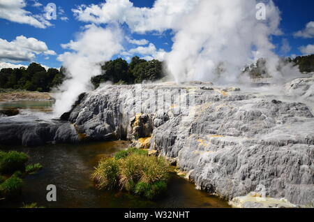 La zone thermale de Rotorua Banque D'Images