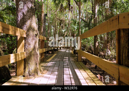 Promenade spectaculaire à travers une luxuriante végétation tropicale Banque D'Images