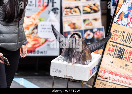 Tokyo, Japon - 30 mars 2019 - Grande tête de thon rouge congelé ou toro maguro dans rue Tsukiji fish market en magasin de fruits de mer ou boutique avec les gens Banque D'Images