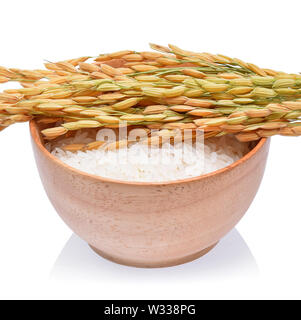 Les plants de riz avec du riz blanc et de riz non usiné isolated on white Banque D'Images