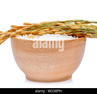 Les plants de riz, de grains de riz au jasmin Thaï bol en bois sur fond blanc Banque D'Images