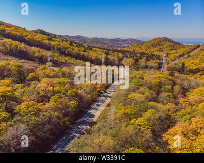 Vue aérienne de route en belle forêt d'automne au coucher du soleil. Beau paysage avec des arbres, des routes rurales vide avec des feuilles rouge et orange. Par l'autoroute Banque D'Images