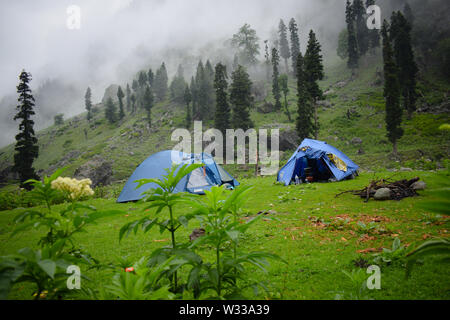 Camp d'été dans les montagnes couvertes de pins. Tentes érigées dans les montagnes couvertes de nuages. Banque D'Images