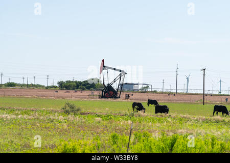 Pumpjack sur les gisements en prairies de Snyder, au Texas, avec pompage et de l'huile machine Cows grazing Banque D'Images