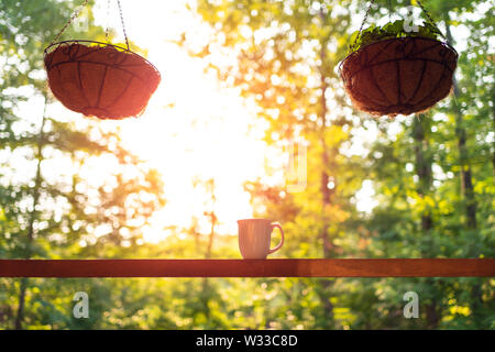 La pendaison de deux plantes en pot au printemps avec l'arrière-plan flou sur le porche de la maison avec le lever du soleil le soleil et tasse à café sur chalet en bois chalet Banque D'Images