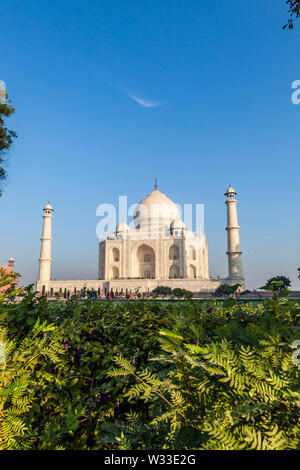 Le Taj Mahal au petit matin vue depuis un angle sur le côté. Agra, Uttar Pradesh, Inde. Banque D'Images