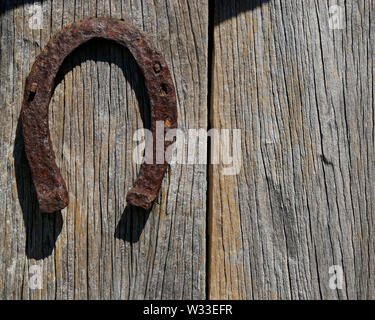 Un vieux cheval service suspendu la tête en bas sur un mur de la grange rustique. Banque D'Images