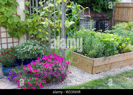 Des légumes et des fleurs poussant dans un petit jardin Banque D'Images