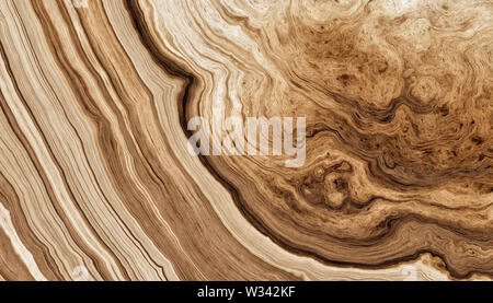 La texture des racines de l'arbre avec des lignes ondulées et anneaux d'âge. Plan des anneaux d'un arbre. Résumé La texture et l'arrière-plan. Illustration 2d Banque D'Images