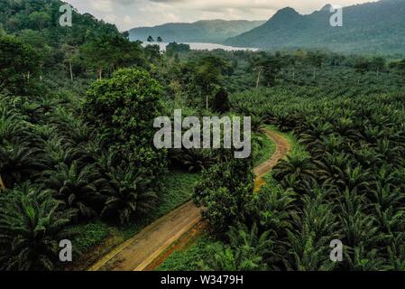 Route de montagne tropicale, paysage épique, vue aérienne Banque D'Images