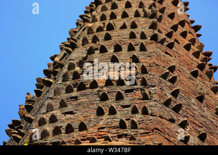 Myna jungle sur le mur d'un ancien temple. Le Bangladesh. Banque D'Images