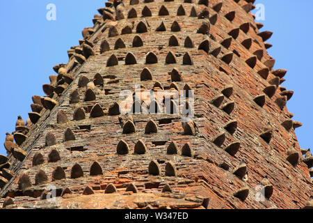 Myna jungle sur le mur d'un ancien temple. Le Bangladesh. Banque D'Images