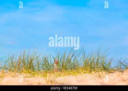 L'herbe des dunes de sable de plage, sur l'accent doux et blanc rayé rouge floue à distance, phare comme miniature, ciel bleu copy space Banque D'Images