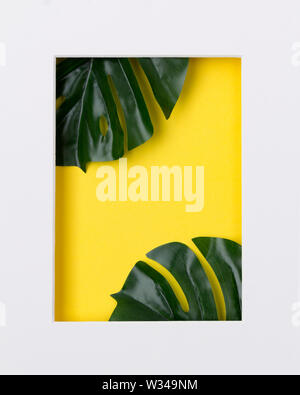 Feuilles de palmier tropical en papier blanc sur fond jaune. Banque D'Images