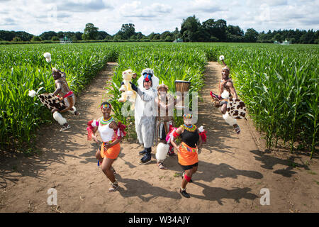 Farmer Tom Pearcy habillé comme le babouin (Mandrill) personnage du Roi Lion, est rejoint par le puissant groupe performance Zulu Nation, vêtus de costumes traditionnels Zulu, lors du lancement de la New York 2019 New York en labyrinthe, créée à partir de plus d'un million de plants de maïs de plus en plus, vivant, fêter 25 ans de The Lion King. Banque D'Images