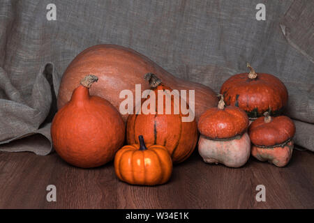 La vie toujours de diverses formes et variétés de citrouilles orange vif .Tkvy sur des planches de bois dans le contexte de la toile de jute. Décoration d'Halloween. Au Banque D'Images