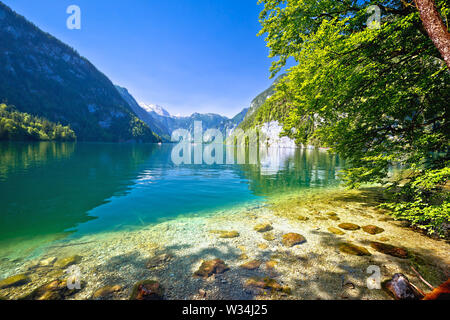 Konigssee côte idyllique Lac alpin vue falaises, Berchtesgadener Land, Bavière, Allemagne Banque D'Images