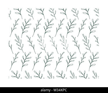 Fougère verte brindilles végétales illustration botanique, floral seamless pattern - illustration de branches et de plantes rustiques de la forêt de brindilles gondolé sur blanc Banque D'Images